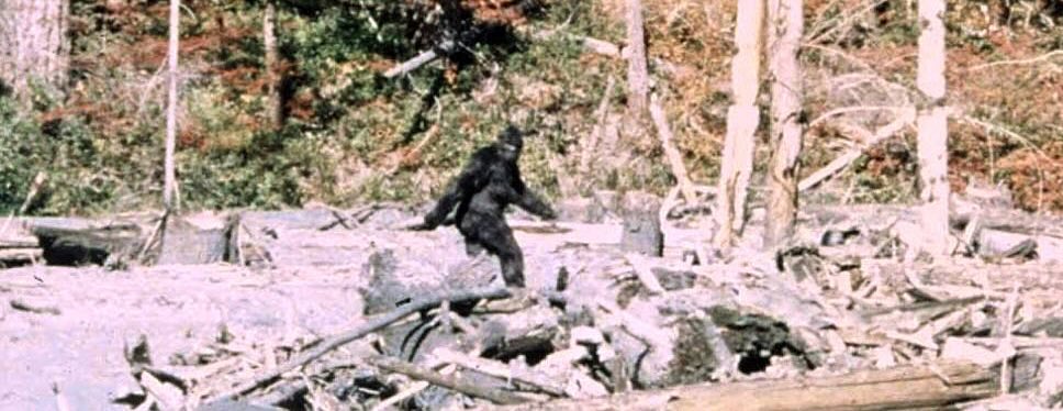 bigfoot